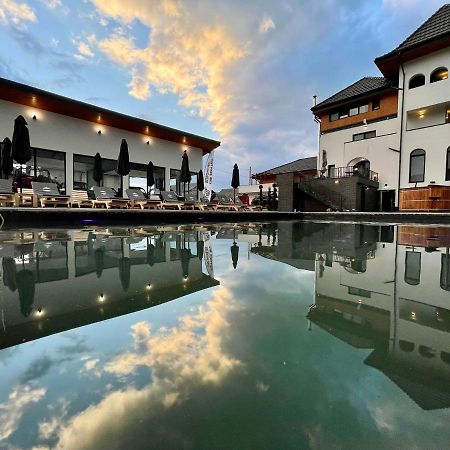 Pensiunea Maramures Guesthouse Вишеу де Жос Екстериор снимка
