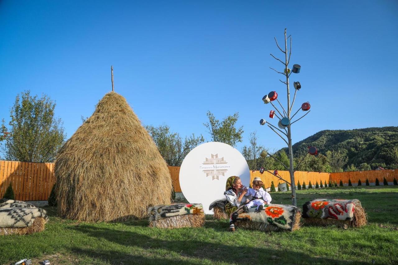 Pensiunea Maramures Guesthouse Вишеу де Жос Екстериор снимка