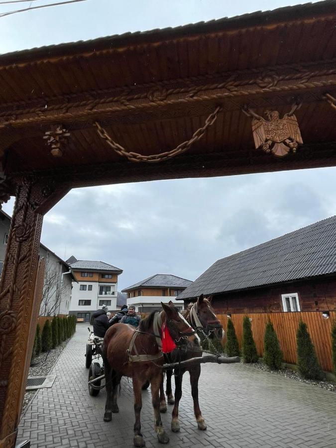 Pensiunea Maramures Guesthouse Вишеу де Жос Екстериор снимка