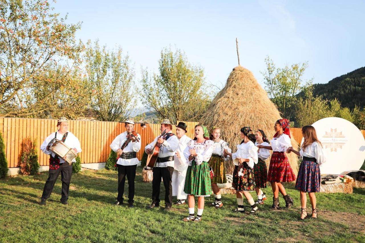 Pensiunea Maramures Guesthouse Вишеу де Жос Екстериор снимка